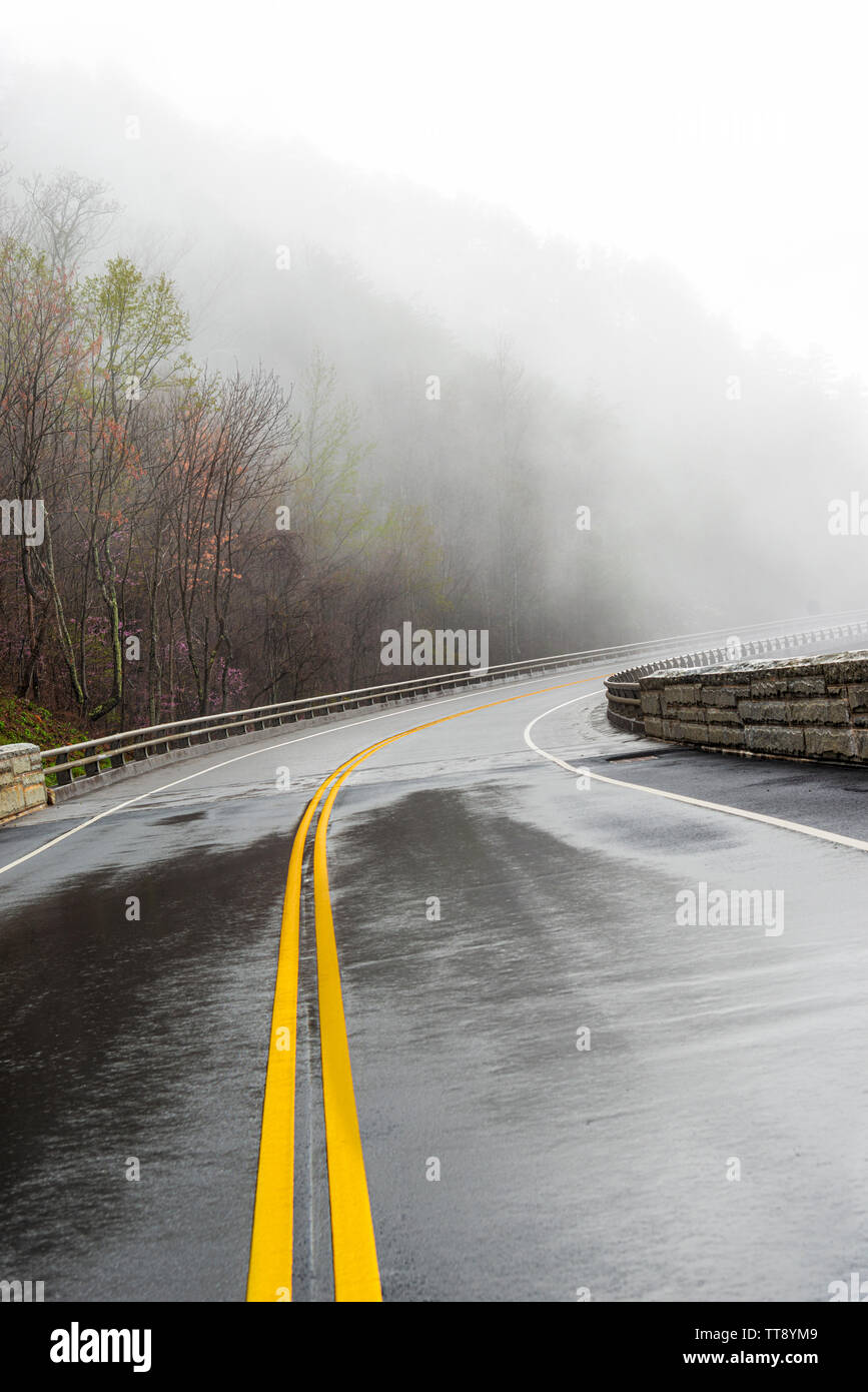 Inquadratura orizzontale di una curvatura umido Smoky Mountain Road scomparendo nella nebbia con copia spazio. Foto Stock