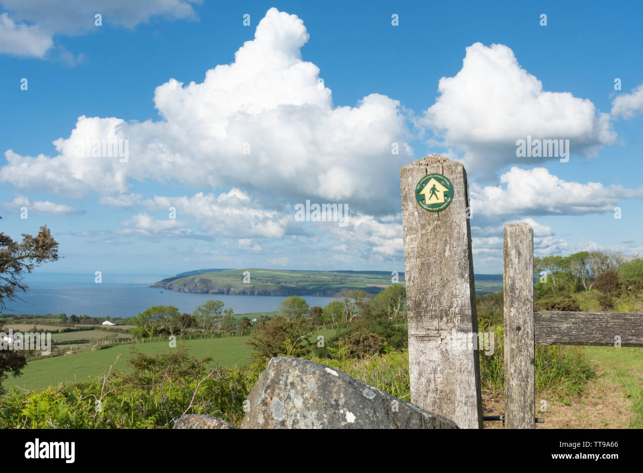 Vista del Pembrokeshire Coast National Park il paesaggio costiero dalla Croce di dinas viewpoint, Wales, Regno Unito Foto Stock