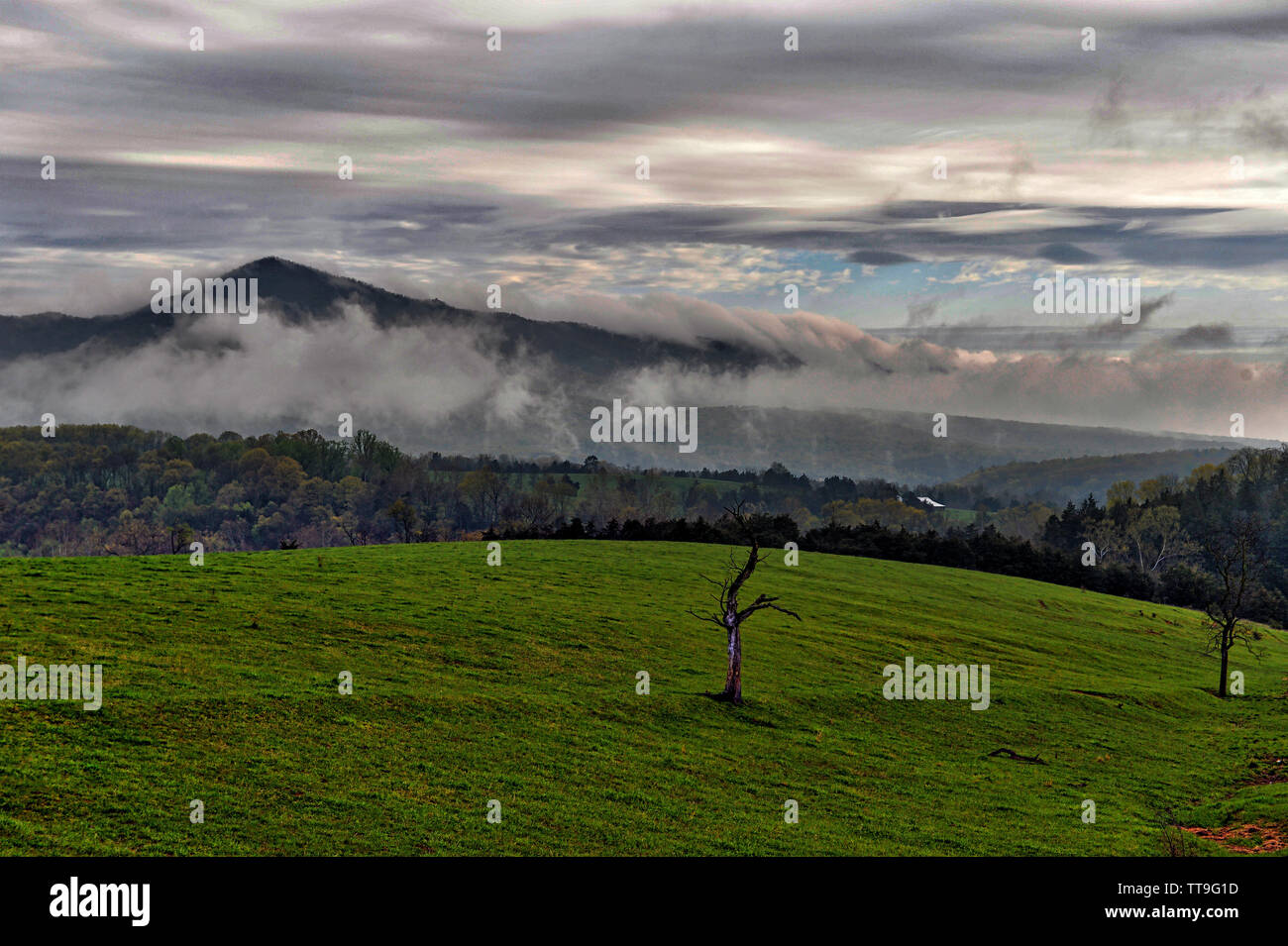 Stati Uniti: Aprile 26, 2015; North Western viste da Luray Virginia dopo piogge pesanti di cui la nebbia nella gamma della montagna. Foto Stock