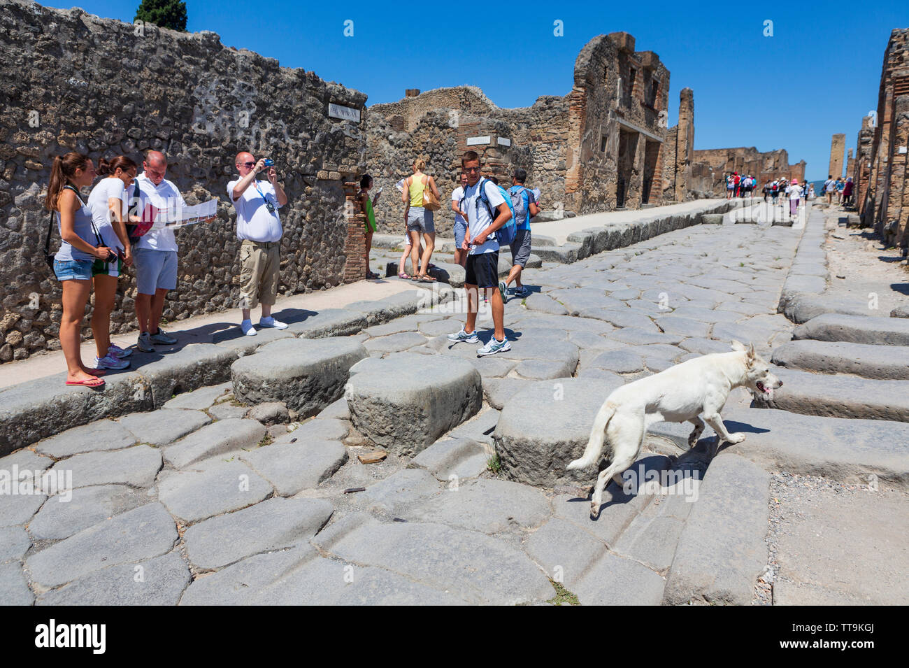 Pompei, antica città romana nei pressi di Napoli moderno nella regione Campania Italia che è stata sepolta sotto 4 a 6 m di ceneri vulcaniche e pomice in er Foto Stock