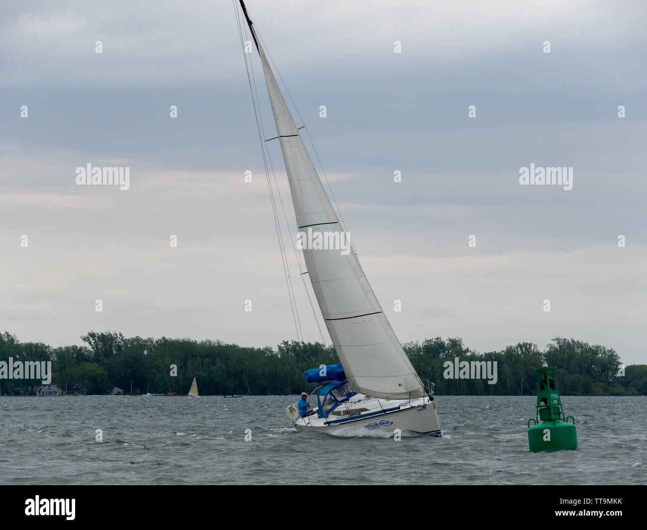 Toronto, Canada. Il 15 giugno, 2019. Sterzo residenti loro yacht a vela attorno a boa sul Lago Ontario, sotto vento ad alta. Foto Stock