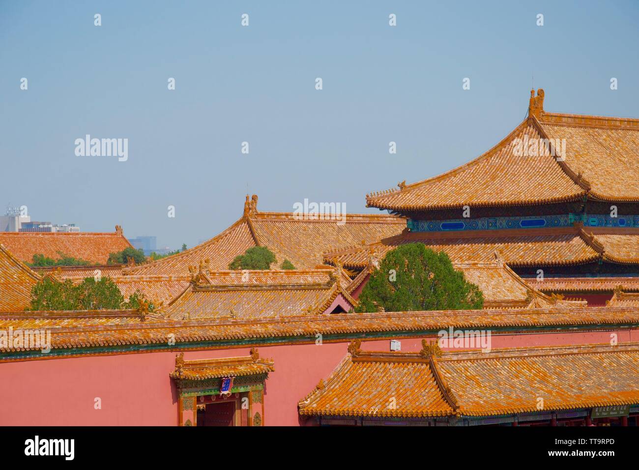 Massa a più livelli di cinese tradizionale di tetti, piastrelle di colore arancione e l'albero occasionale contro un cielo blu. La città proibita a Pechino, Cina Foto Stock
