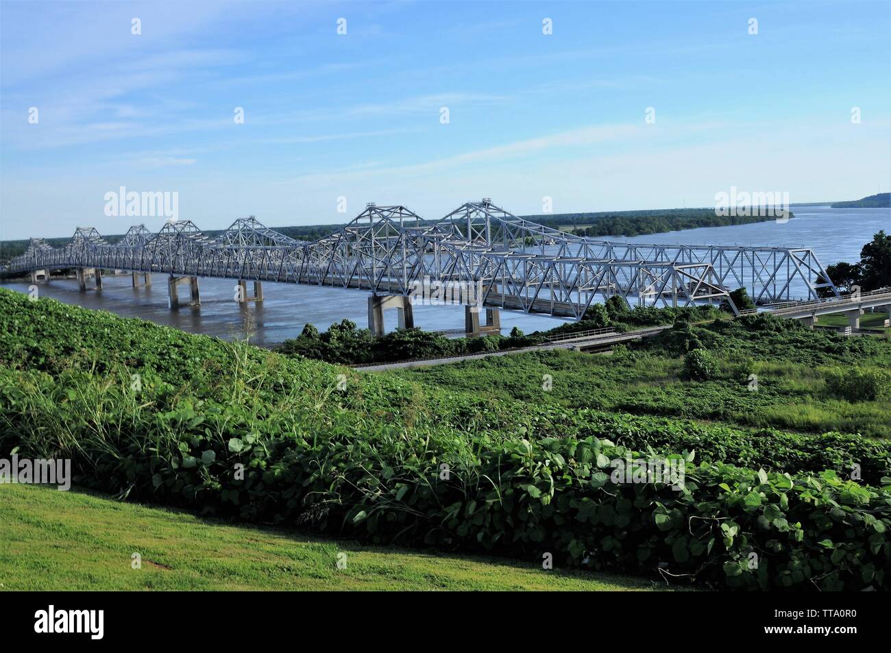 Il kudzu coperto bluff si affaccia il Mississippi River Bridge a Natchez, Mississippi. Foto Stock
