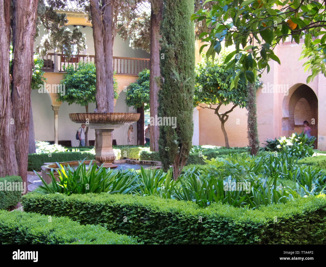 Giardino formale all'interno di un cortile a La Alhambra. Granada, Spagna. Foto Stock