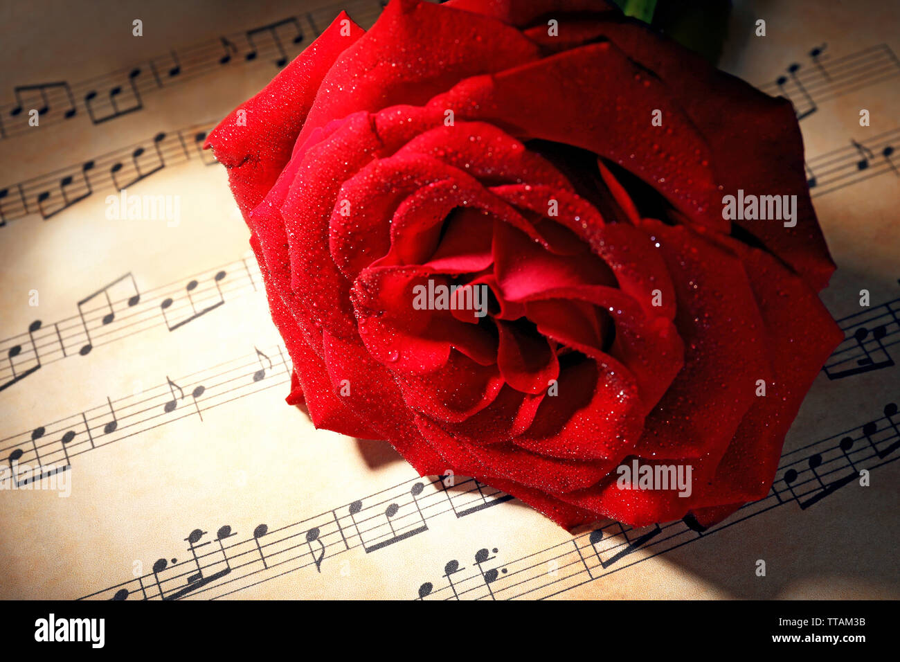 musica classica retrò con violino, strumentazione su carta da note di  vecchia musica con fiore rosa rosso su sfondo legno di quercia. musica  classica rom Foto stock - Alamy