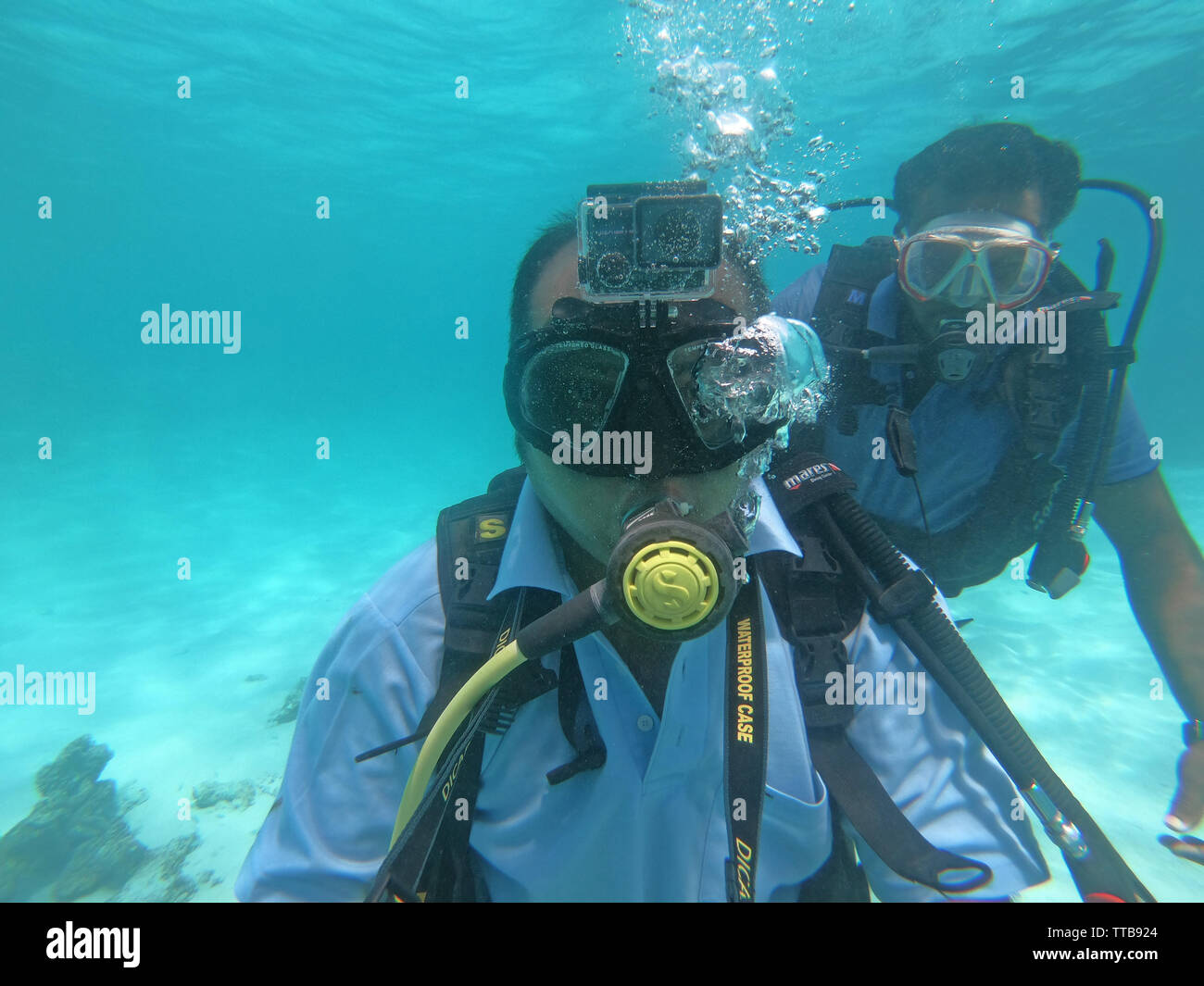 SCUBA diving e vita sottomarina, delle Laccadive, India Foto Stock