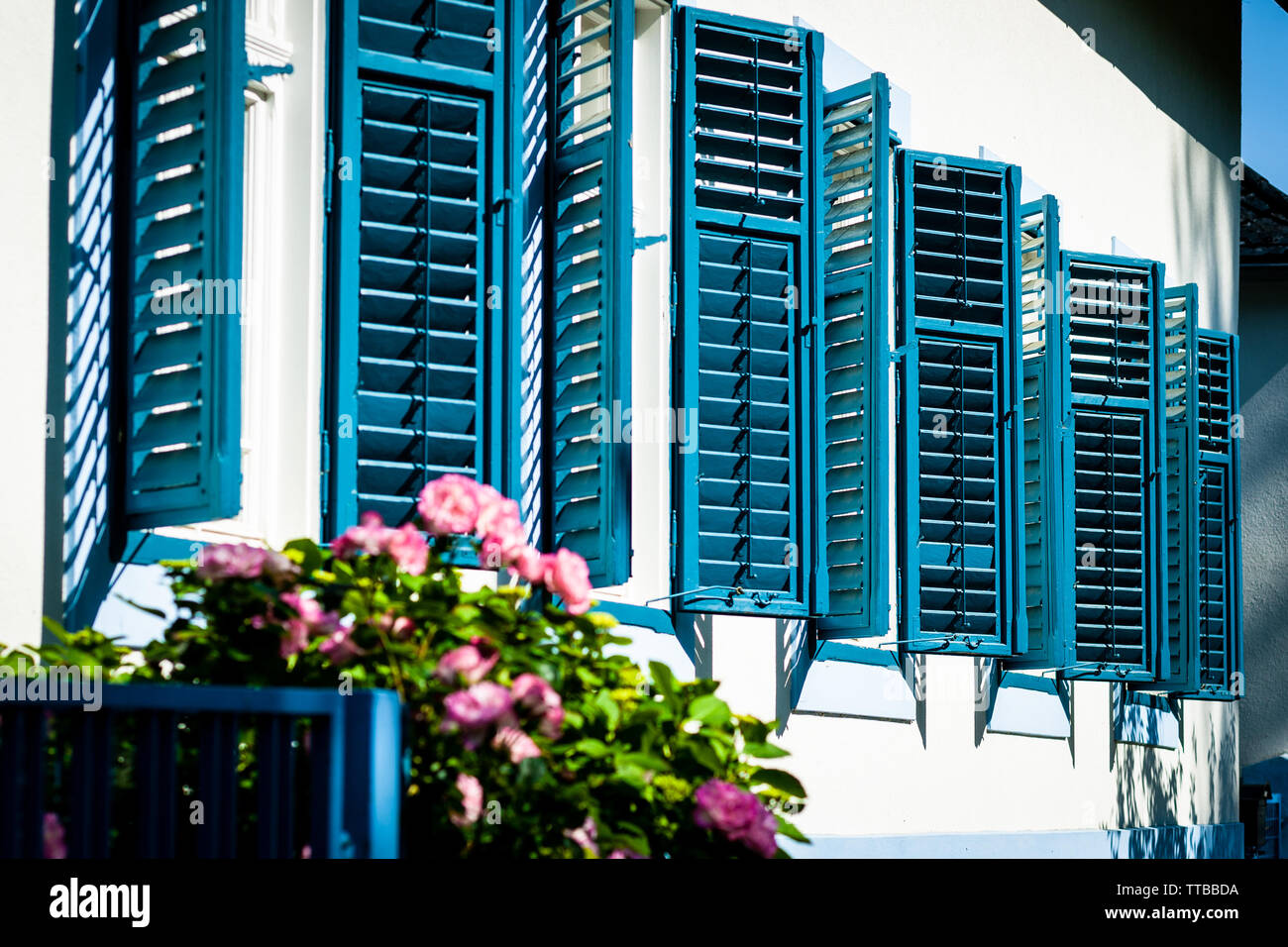 Vista di una casa mediterranea con blu nella finestra di legno e le rose rosa Foto Stock