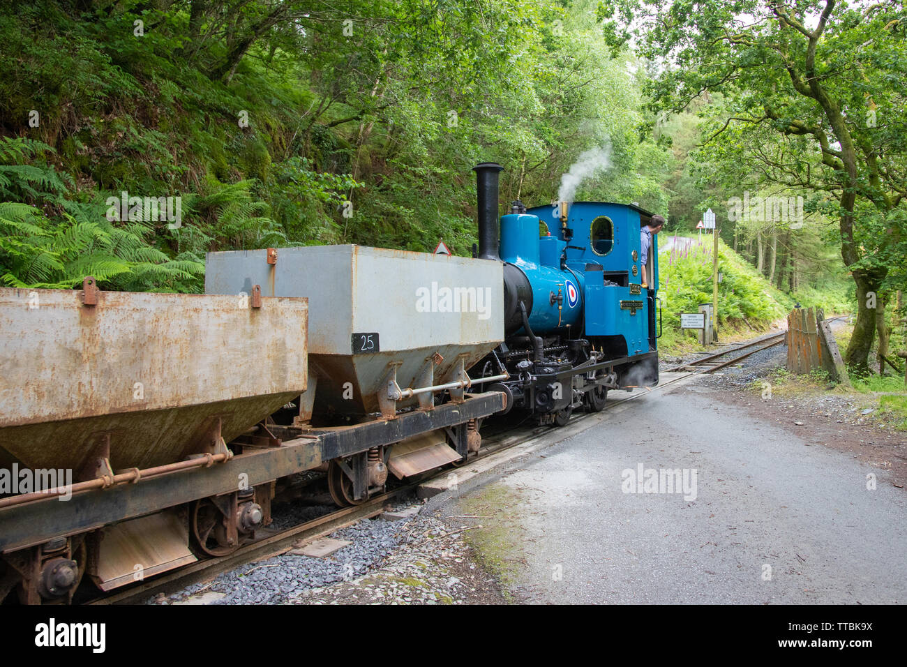 Un vintage locomotiva a vapore locomotiva sul patrimonio Talyllyn Railway, Wales, Regno Unito Foto Stock