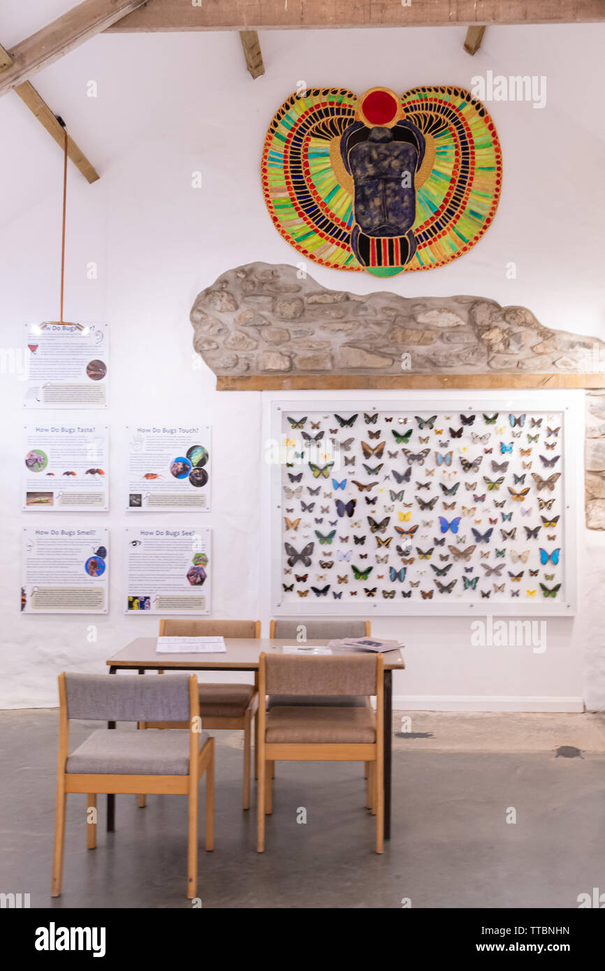 Display del museo a Dr Beynon dei bug di Farm, un attrazione turistica in Pembrokeshire, Galles Foto Stock