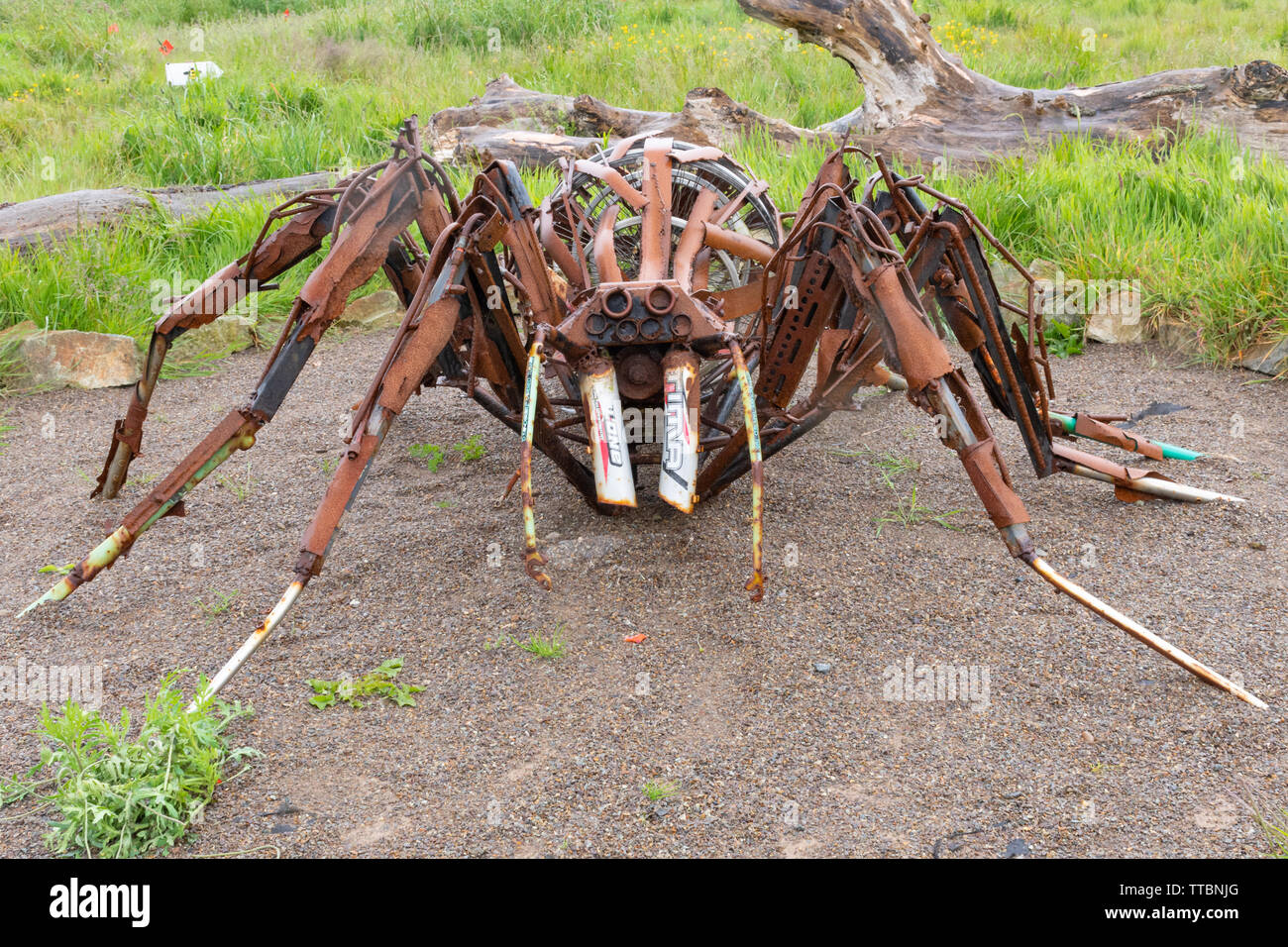 Scultura di metallo di un ragno al Dr Beynon dei bug di Farm, un attrazione turistica in Pembrokeshire, Galles Foto Stock