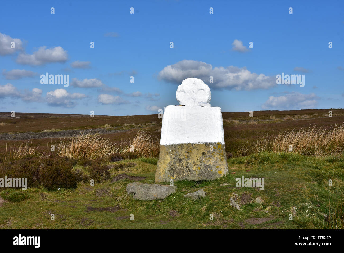 Danby alta Moor con grasso di Betty waymarker in Inghilterra. Foto Stock