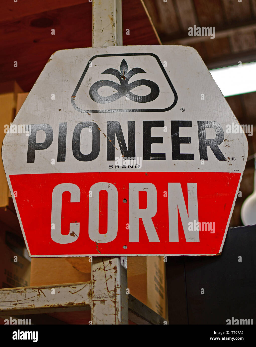 Pioneer segno di mais in un negozio di ferramenta Foto Stock