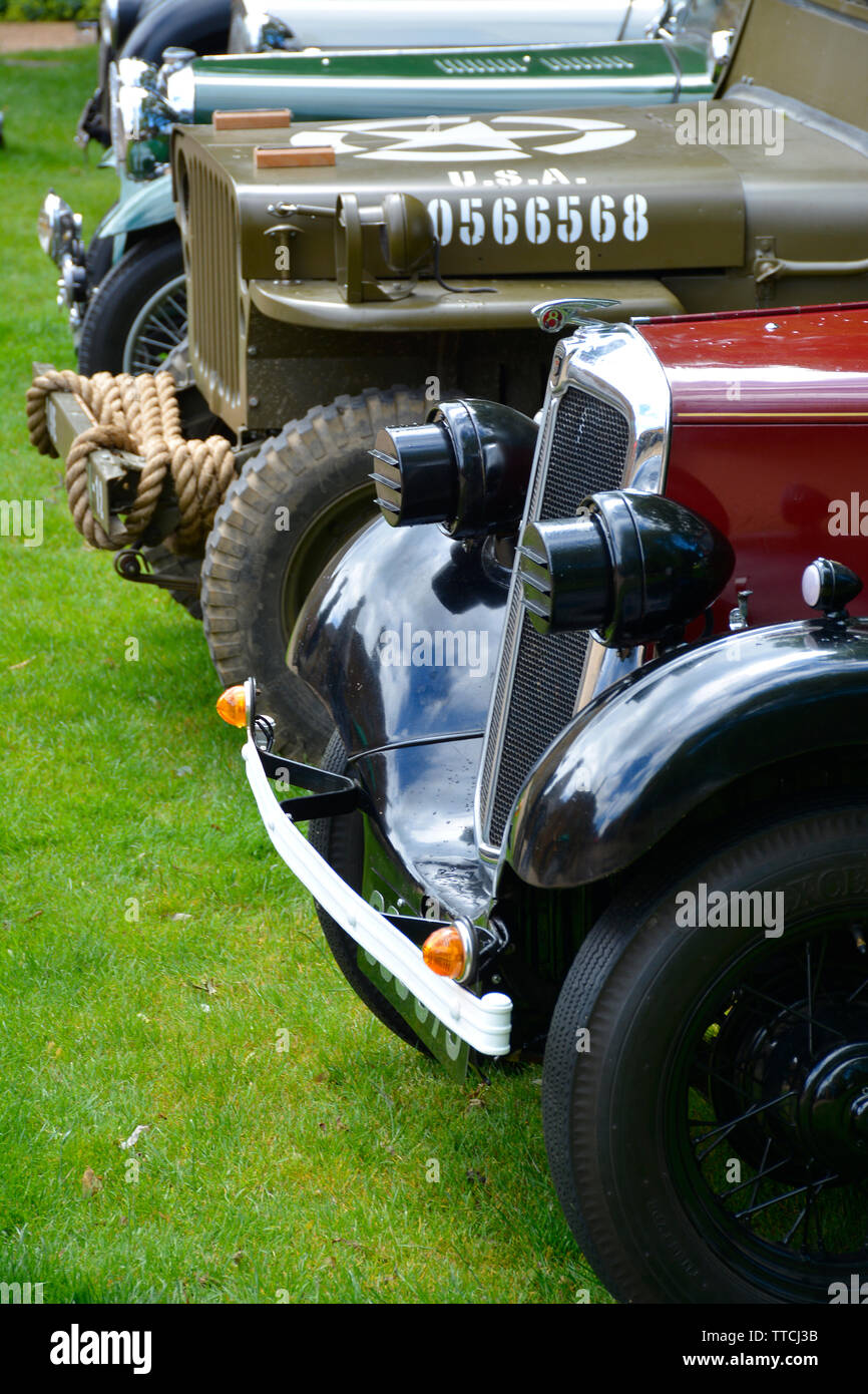 Line-up di varie automobili classiche a car show, Delapre Abbey, Northampton, Regno Unito Foto Stock
