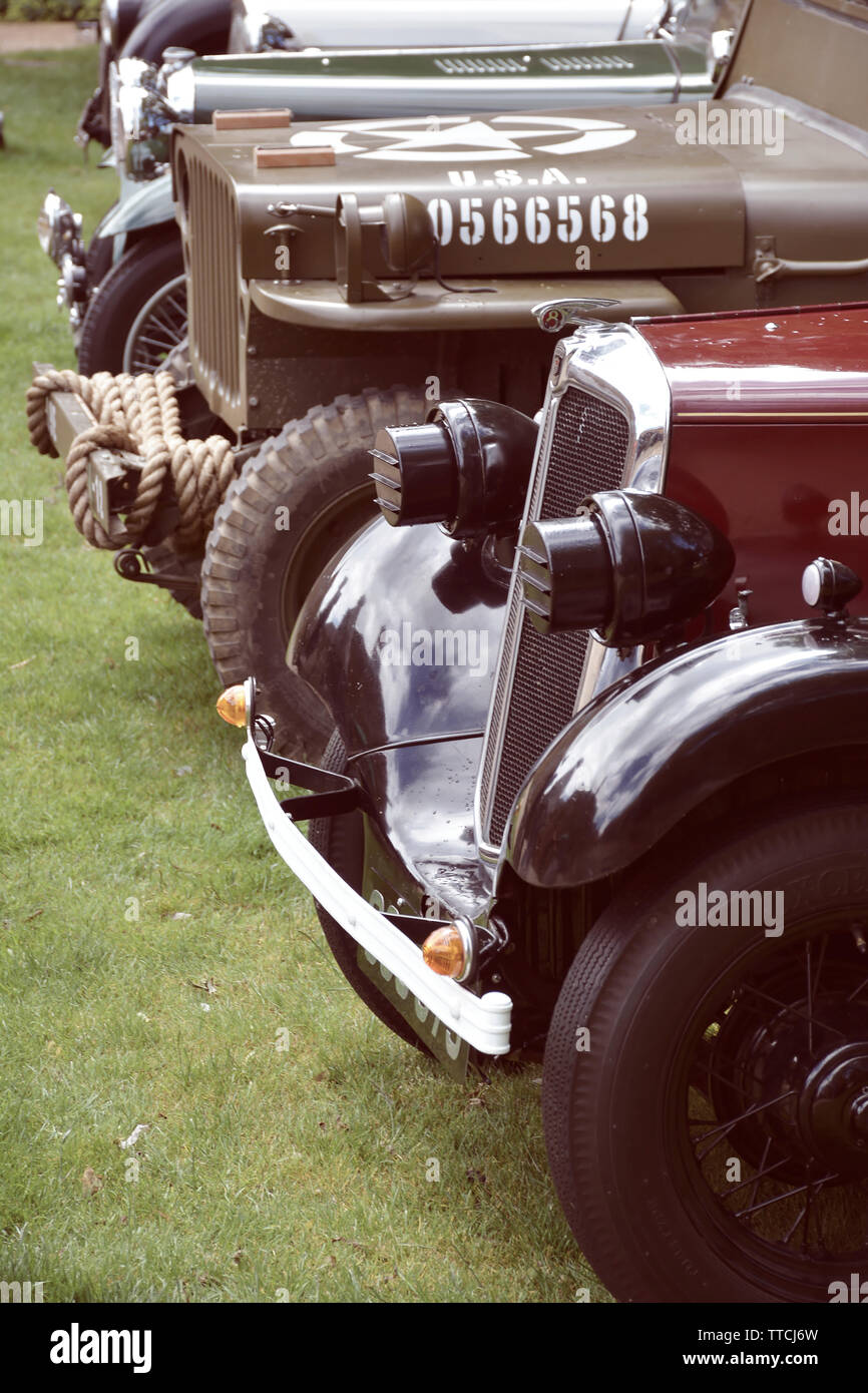 Line-up di varie automobili classiche a car show, Delapre Abbey, Northampton, Regno Unito Foto Stock
