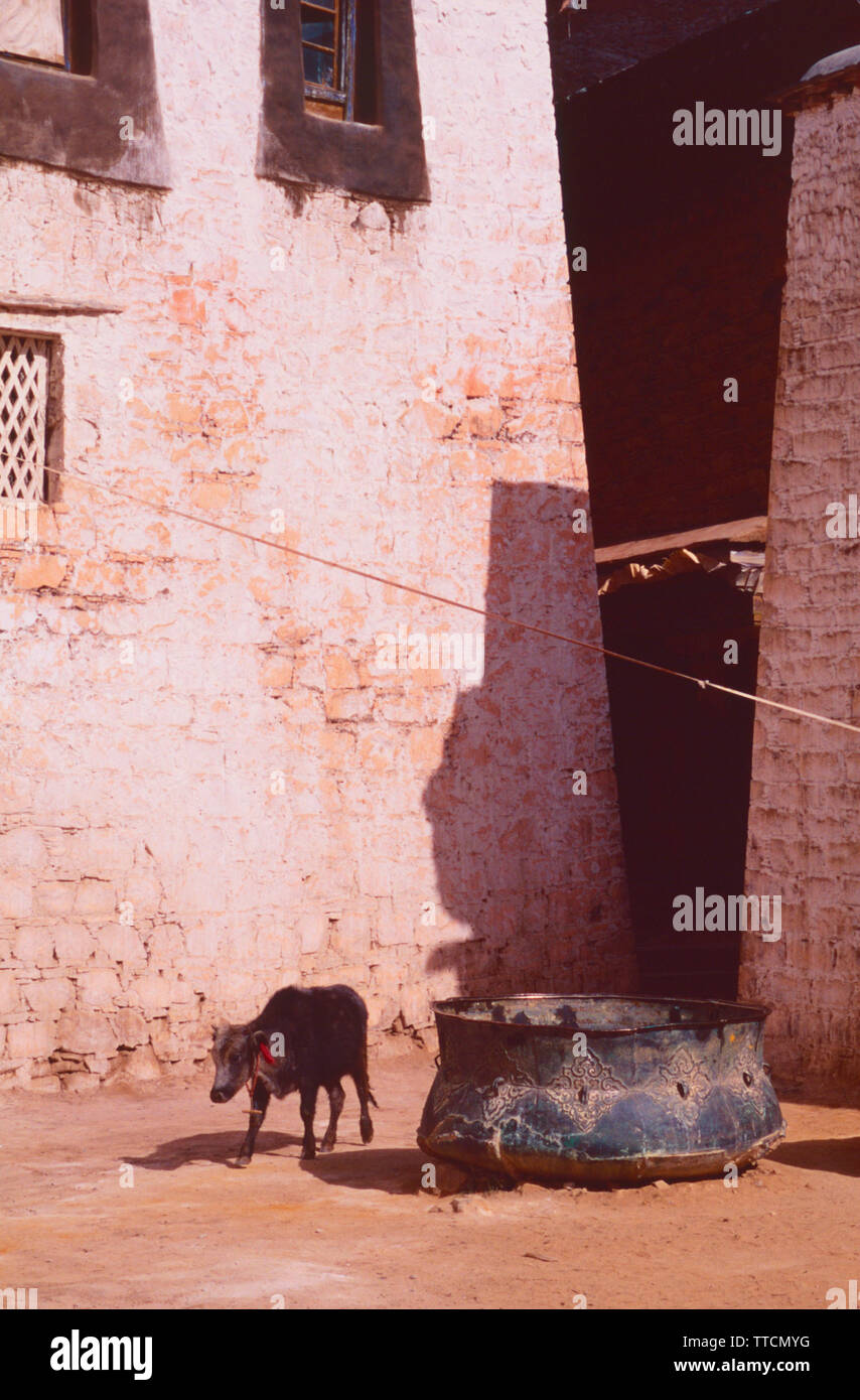 Bacino di ottone,Monastero di Sera,Lhasa,Tibet Foto Stock