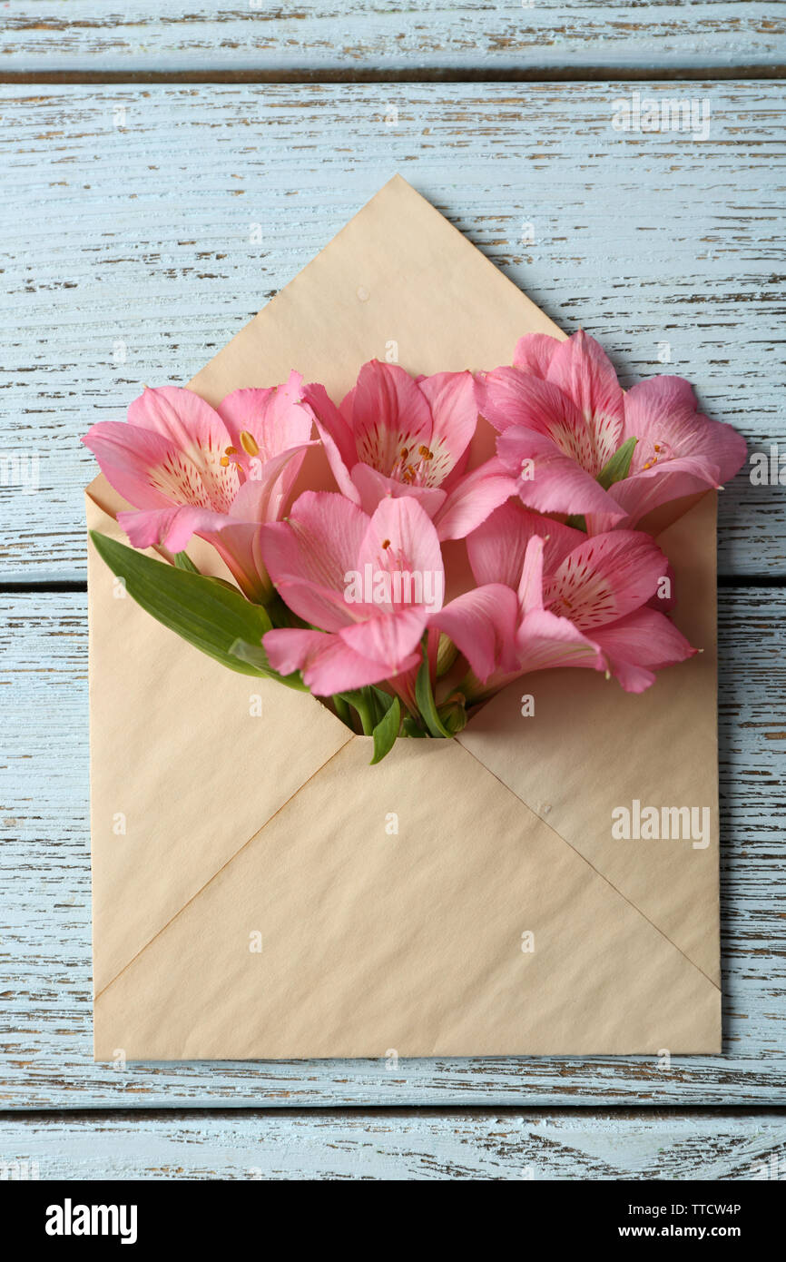 Alstroemeria rosa in busta su sfondo di legno Foto Stock