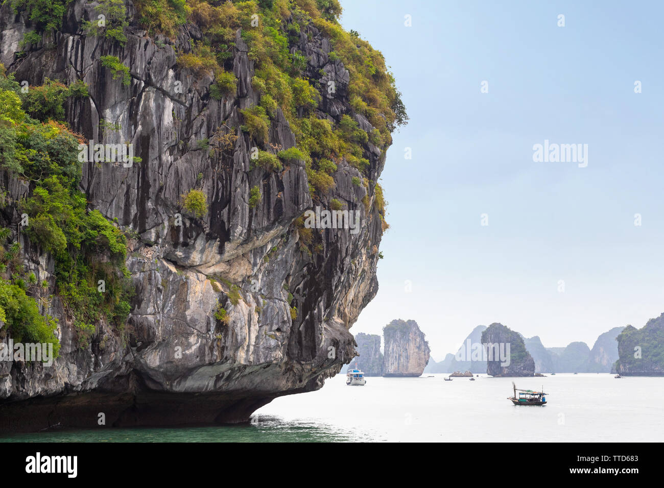 Isole calcaree nella Baia di Ha Long vicino a Cat Ba Island, Hai Phong Provincia, Vietnam Asia Foto Stock