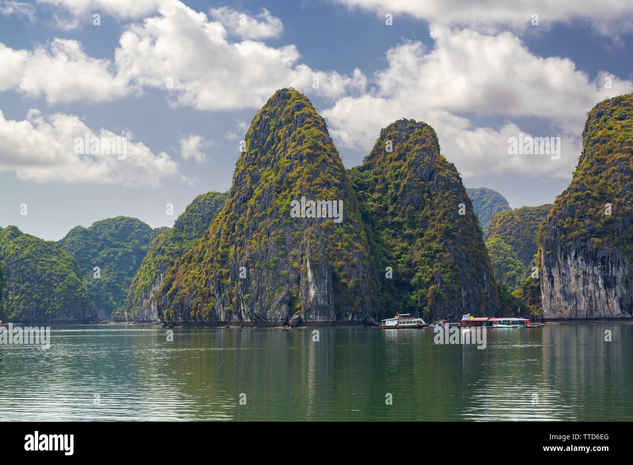 Isole calcaree nella Baia di Ha Long vicino a Cat Ba Island, Hai Phong Provincia, Vietnam Asia Foto Stock