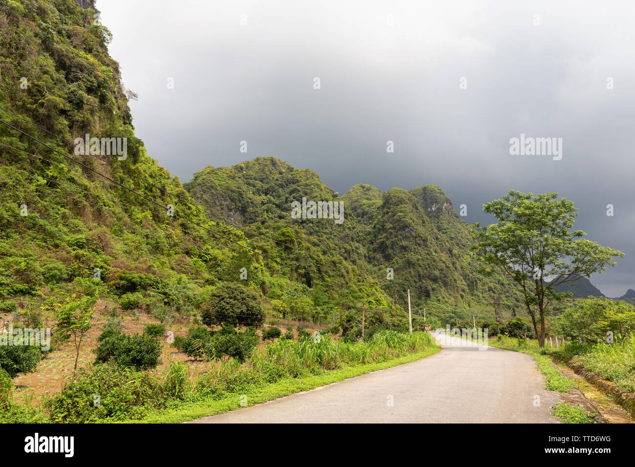 Tramonto da una lussureggiante giungla tropicale strada in Cat Ba Island, Hai Phong Provincia, Vietnam Asia Foto Stock