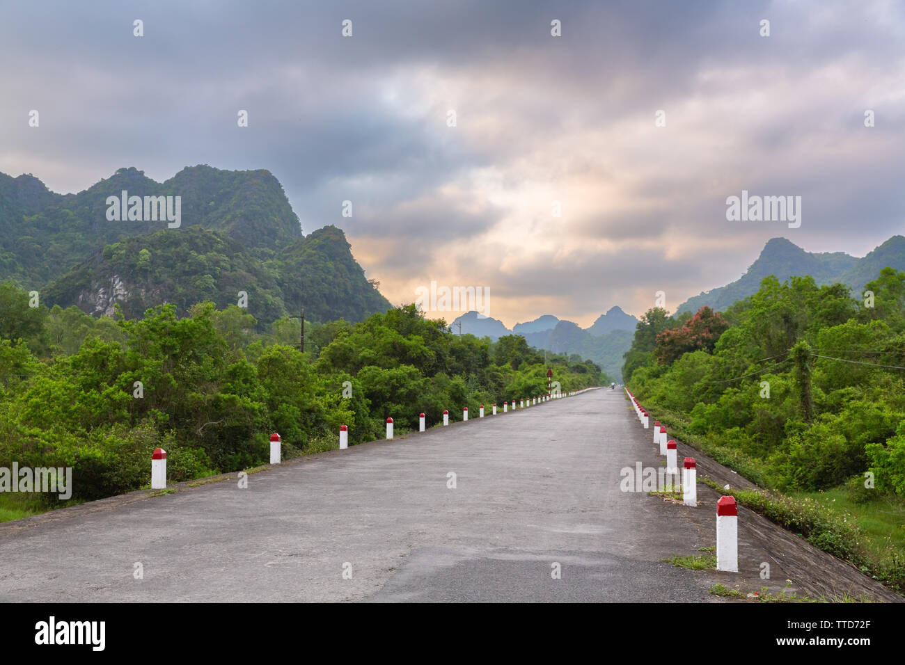 Tramonto da una lussureggiante giungla tropicale strada in Cat Ba Island, Hai Phong Provincia, Vietnam Asia Foto Stock