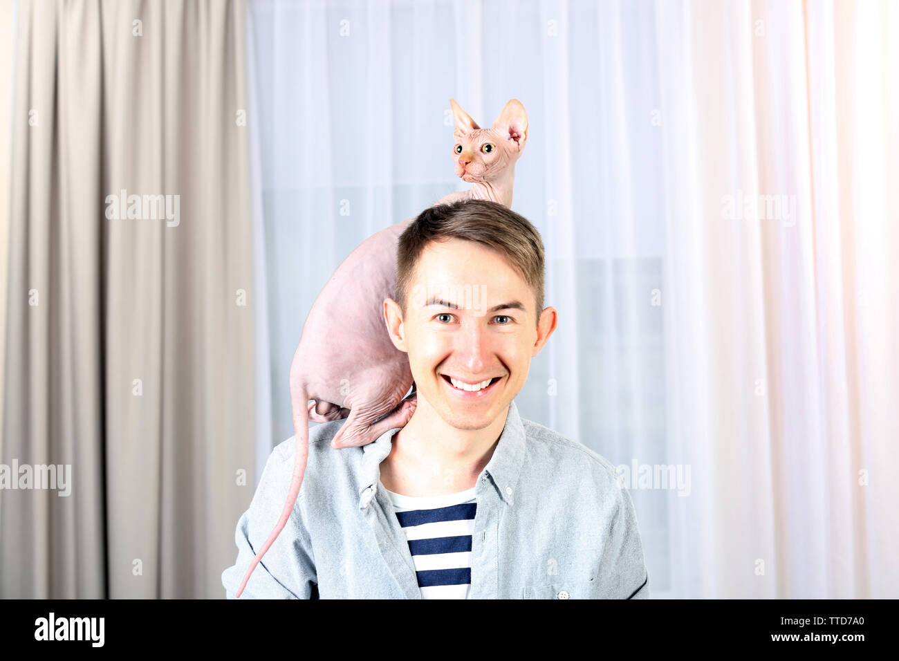 Giovane uomo bello tenendo un gatto sulla luce sullo sfondo di tulle Foto Stock