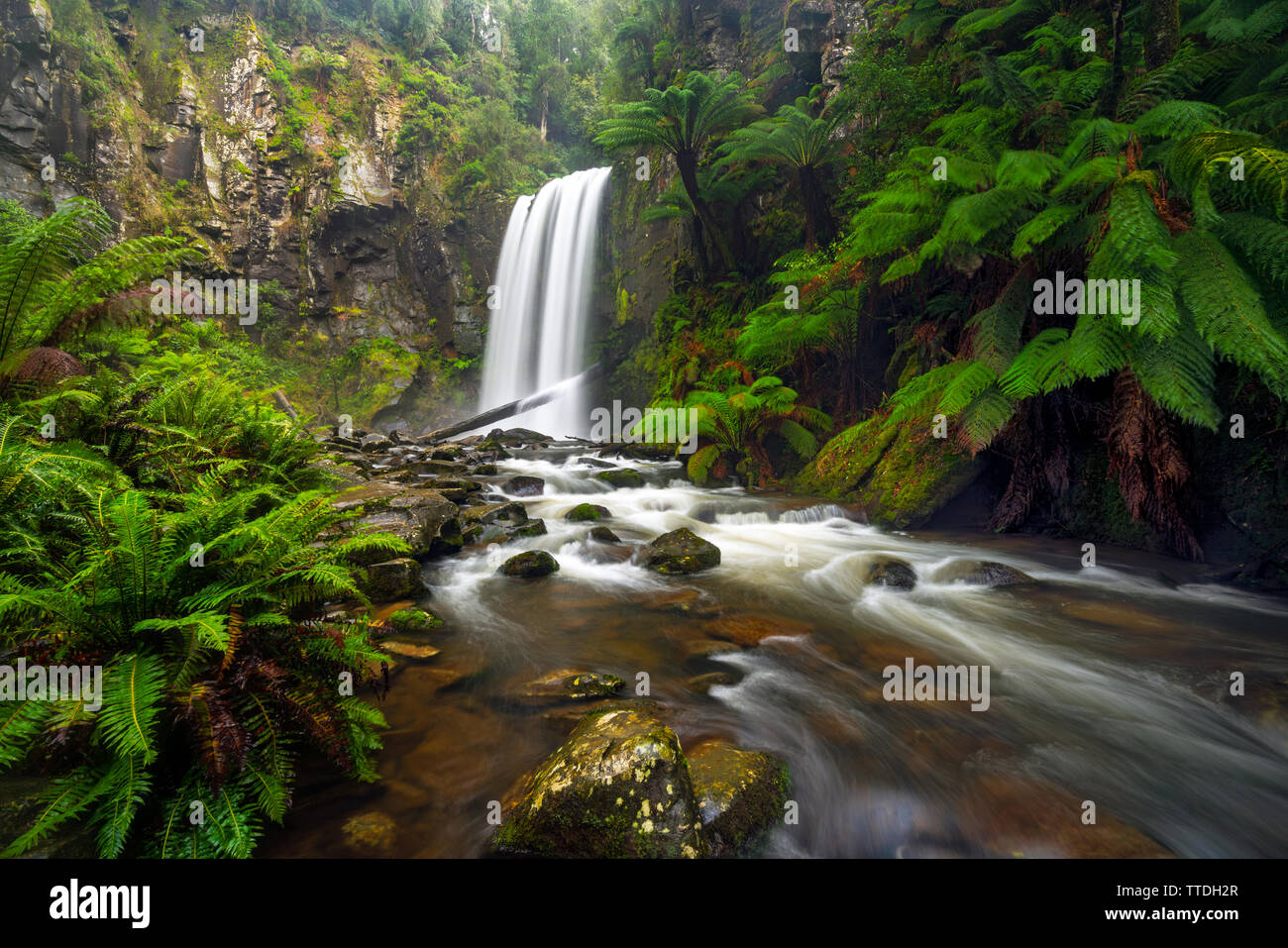 Hopetoun Falls una famosa cascata nelle catene montuose dell'Otway sulla Great Ocean Road vicino ad Apollo Bay Foto Stock