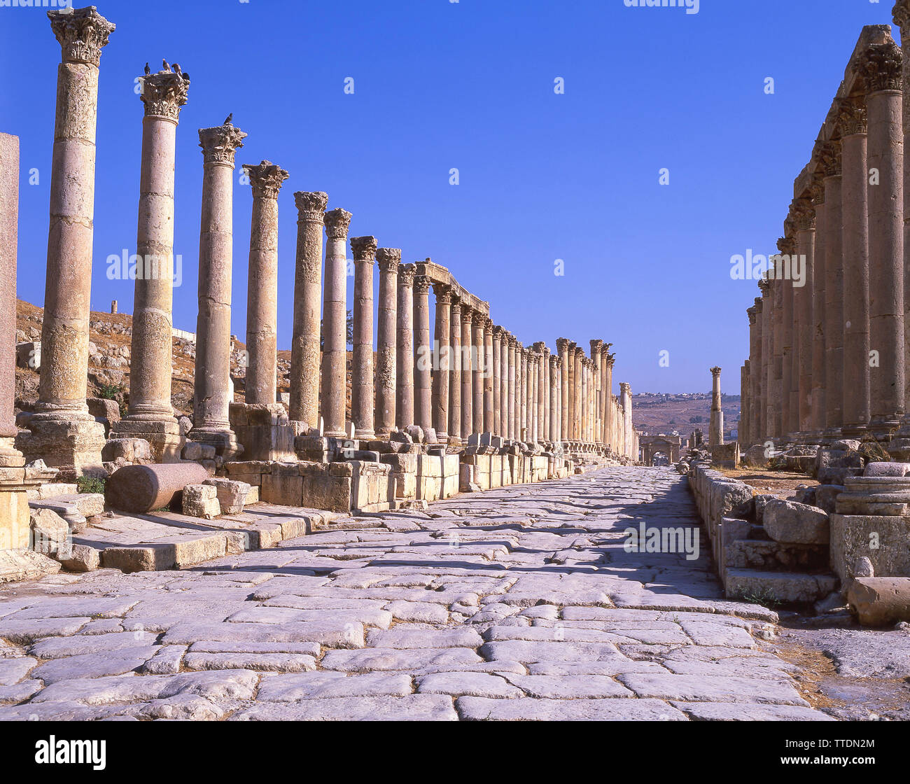 Cardio Maximus, antica città di Jerash (Gerasa), Irbid, Maan, Regno di Giordania Foto Stock