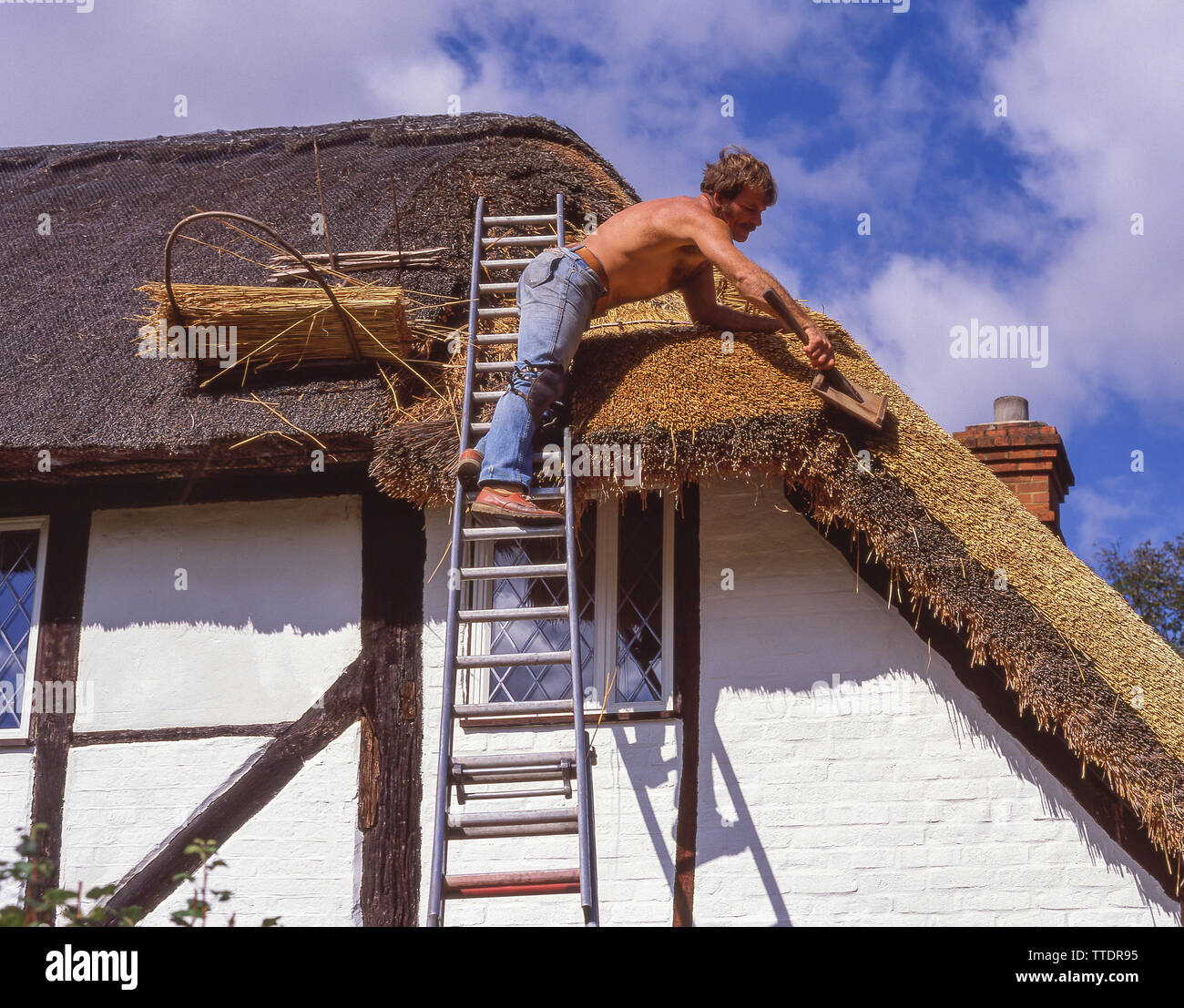 La sterpaglia lavoratore riparazione tetto di paglia sul periodo di cottage, Hartley Wintney, Hampshire, Inghilterra, Regno Unito Foto Stock