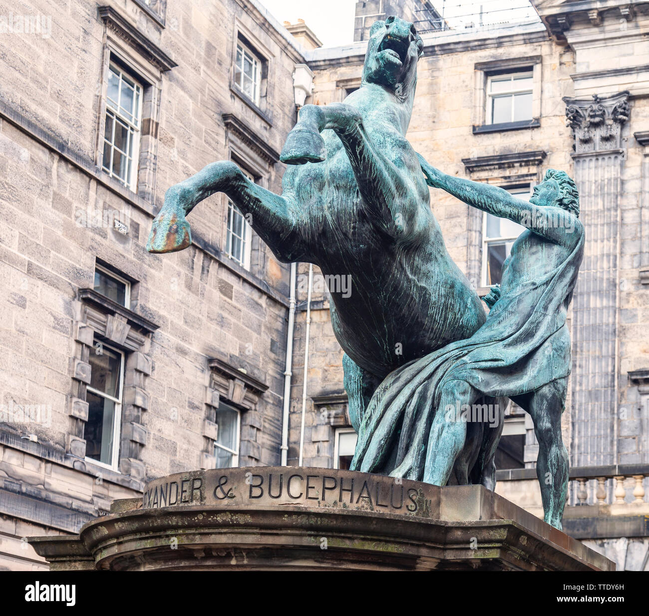 Statua (1884, Sir John Steell) di Alexander addomesticare Bucephalus nel quadrilatero della Edinburgh City Chambers off the Royal Mile. La Scozia, Regno Unito Foto Stock
