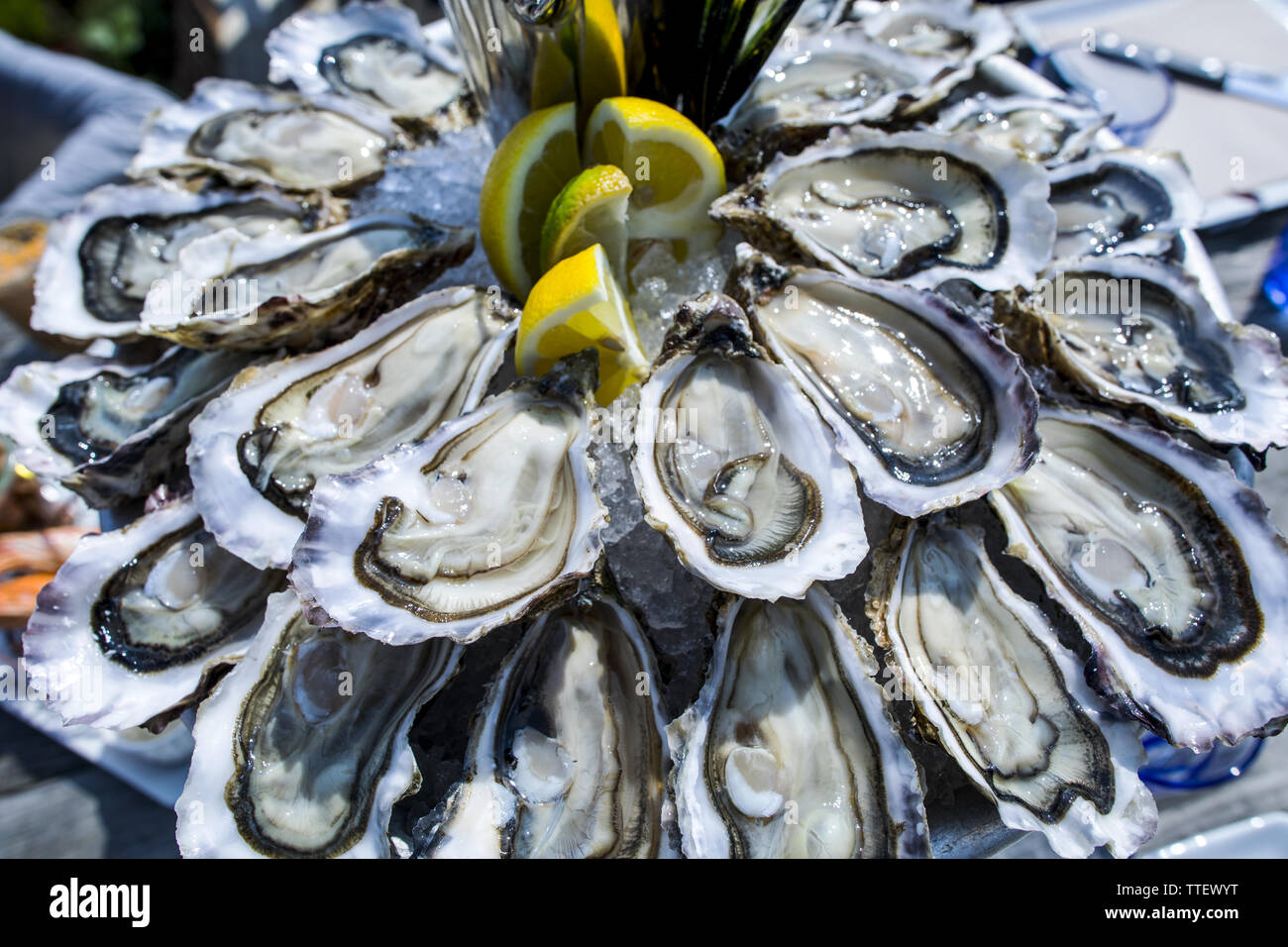 Vassoio di ostriche, Cap Ferret Francia, vicino fino Foto stock - Alamy