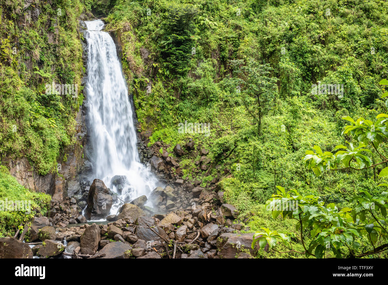 Bella cascata in Dominica, Trafalgar Falls, isola dei Caraibi. Foto Stock