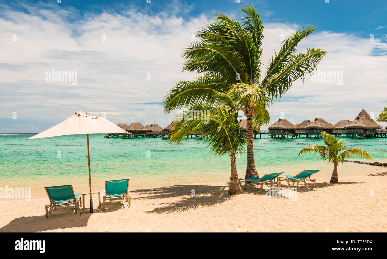 Bella della Polinesia Francese spiaggia con sdraio e ombrelloni. Il relax e il concetto di vacanza. Foto Stock