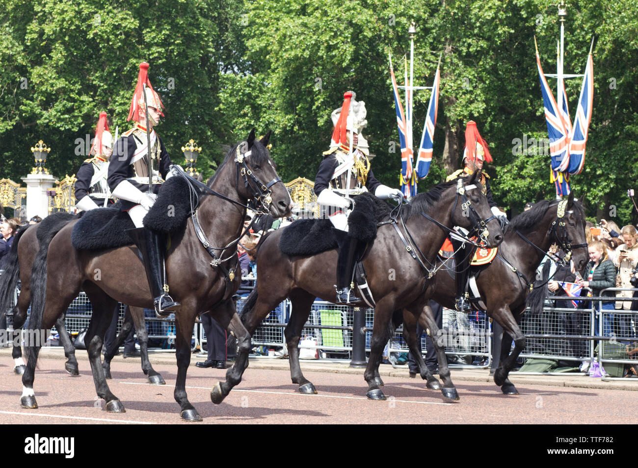 Il Blues e il Royals della cavalleria della famiglia per Trooping il colore 2019 Foto Stock