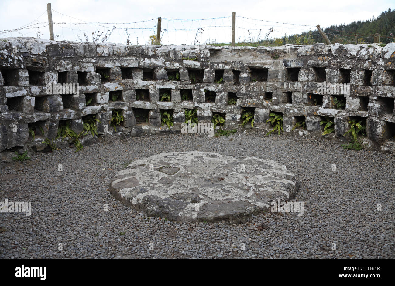 Raro esempio di un colombario o colombaia per la nidificazione di piccioni instended per monaci' cibo al medioevale Fore le rovine dell'Abbazia, Fore, contea Westmeath, Irlanda Foto Stock