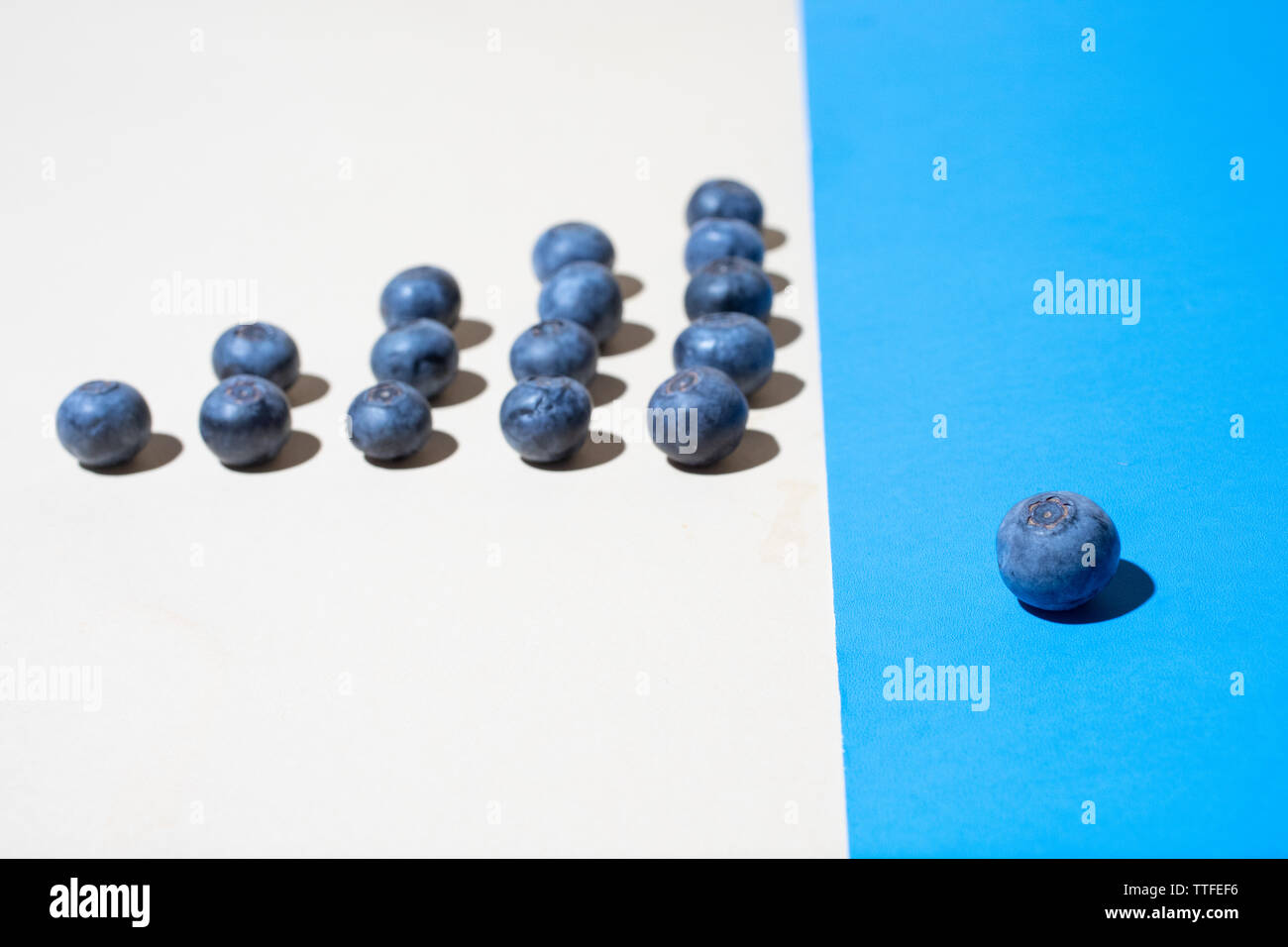 I mirtilli in Pattern in Studio Foto Stock