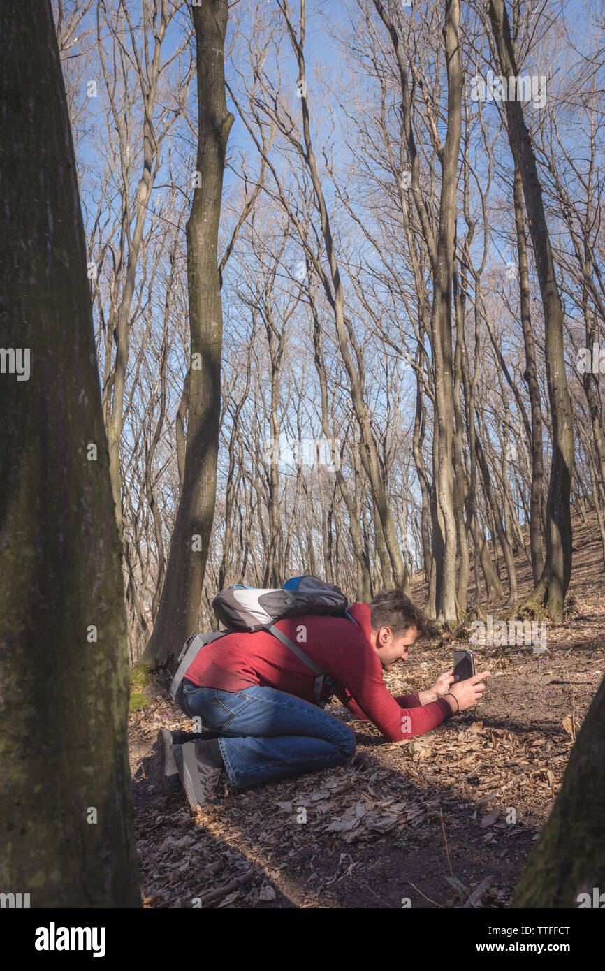 L uomo è fotografare fiori di primavera nella foresta con la sua mobil Foto Stock