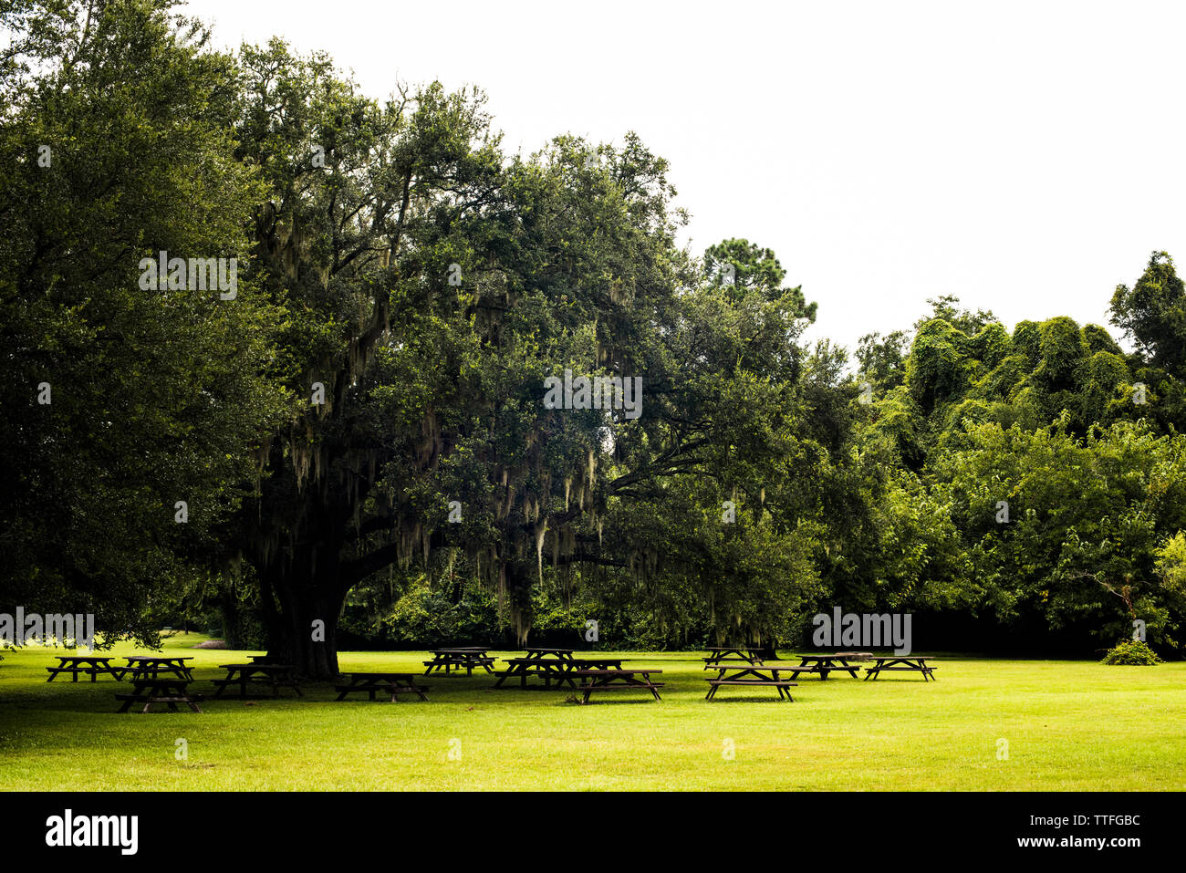 Tavoli da picnic in Charles Towne sbarco park Foto Stock