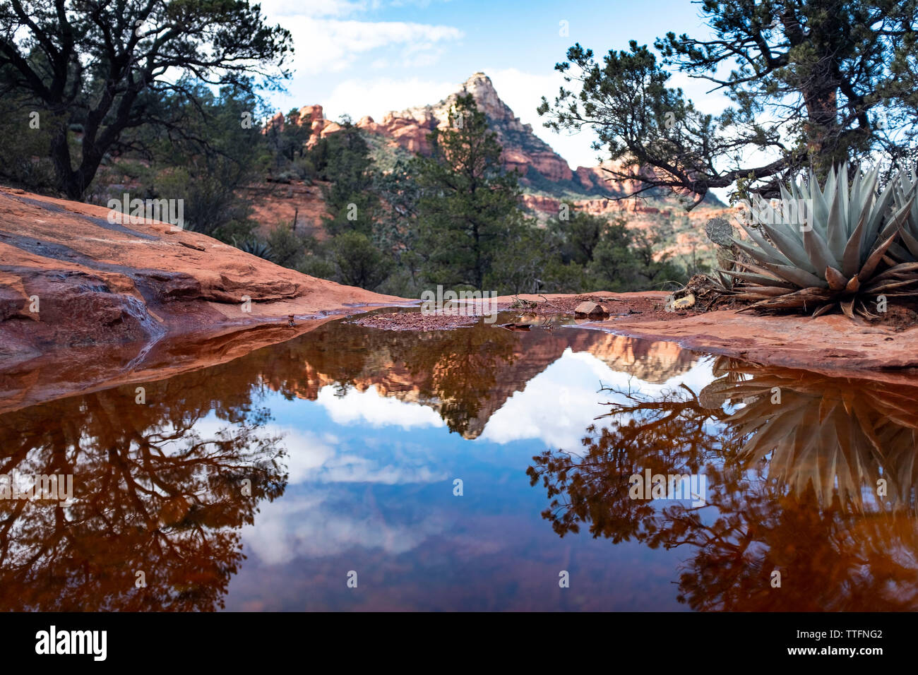 Scenic riflesso in acqua di pioggia pozzanghera, Sedona in Arizona Foto Stock