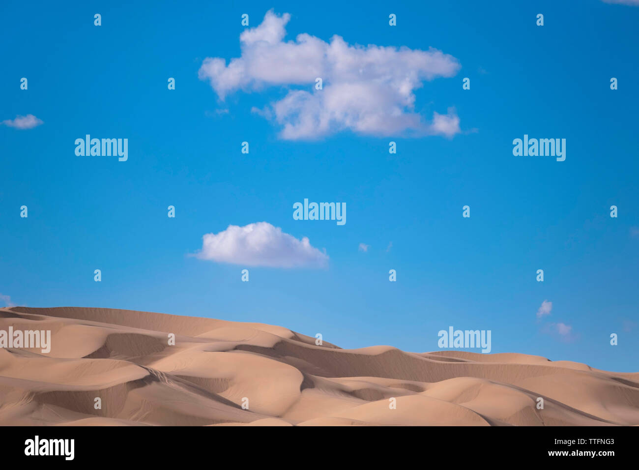 Imperial dune di sabbia Foto Stock