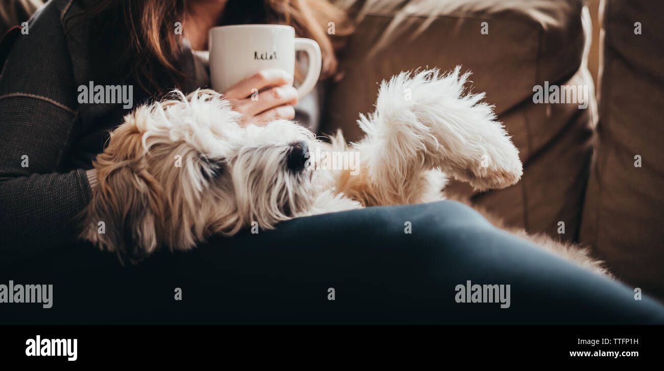 Donna che mantiene la tazza di caffè con un cane peloso posa sul suo giro sul divano. Foto Stock