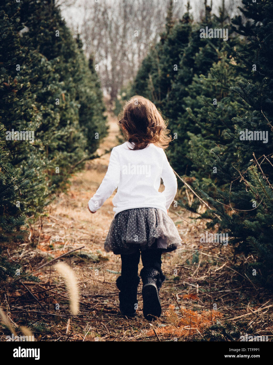 Ragazza in esecuzione sul campo nella foresta Foto Stock