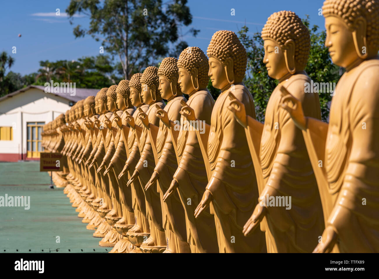 Statue di Buddha schierate sul tempio buddista Chen Tien Foto Stock