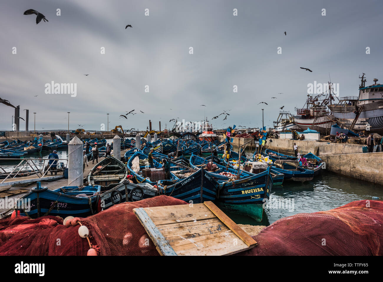 Essaouira, Marocco - 22 Ottobre 2018: il mercato locale del pesce nel porto Foto Stock