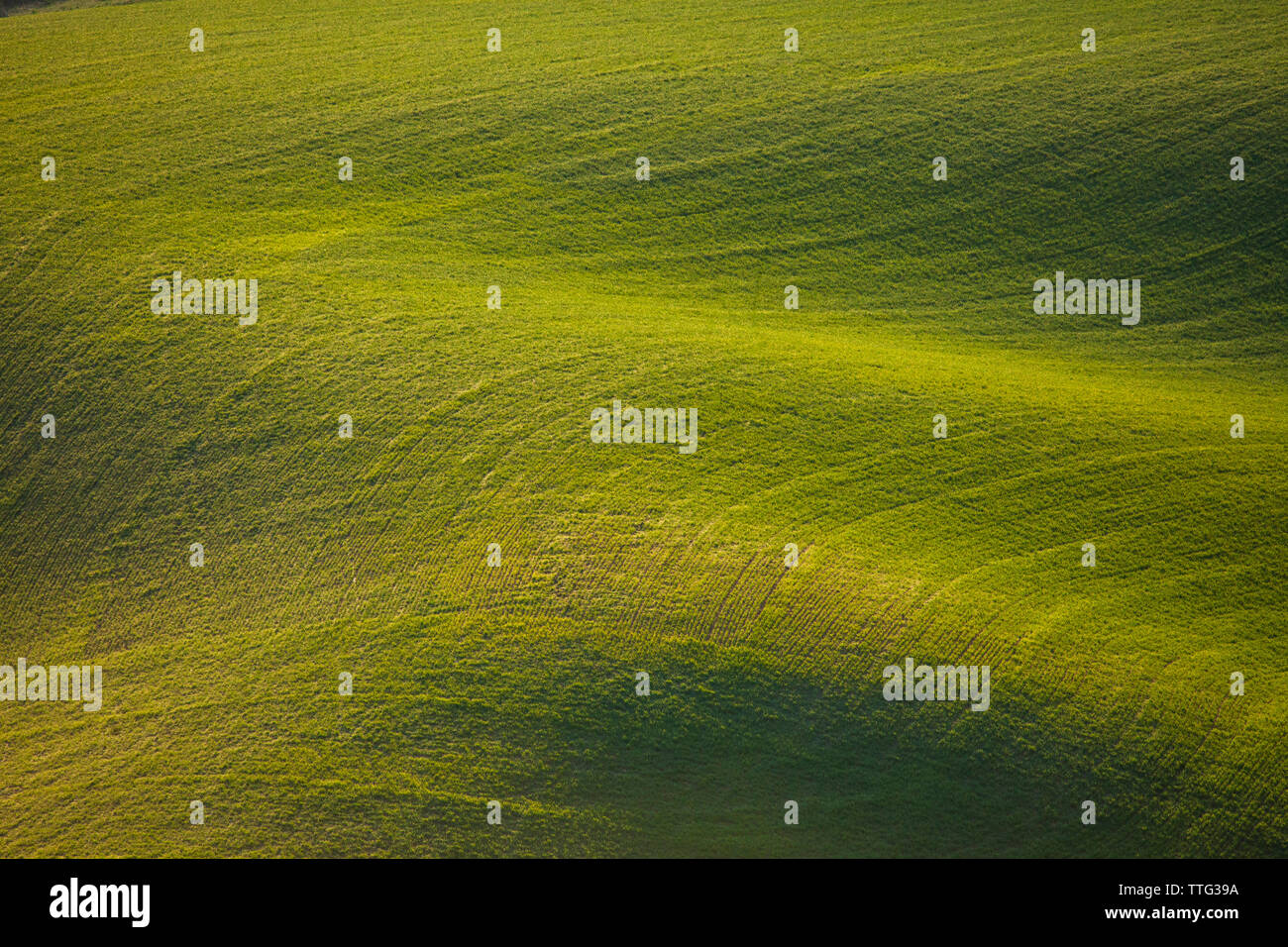 Vista panoramica del verde paesaggio di laminazione Foto Stock