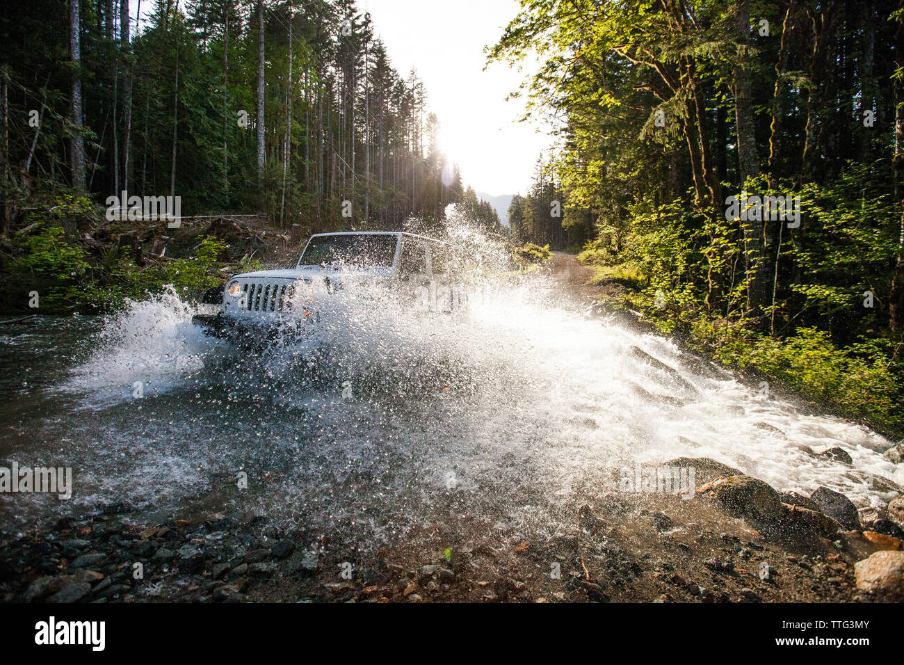 4x4 (SUV Jeep) guidando attraverso il fiume in British Columbia. Foto Stock