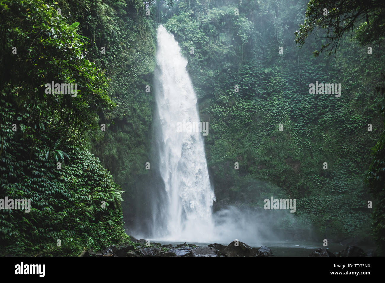 Potente Nung-Nung Bali cascata nella foresta pluviale. Concetto di viaggio. Foto Stock