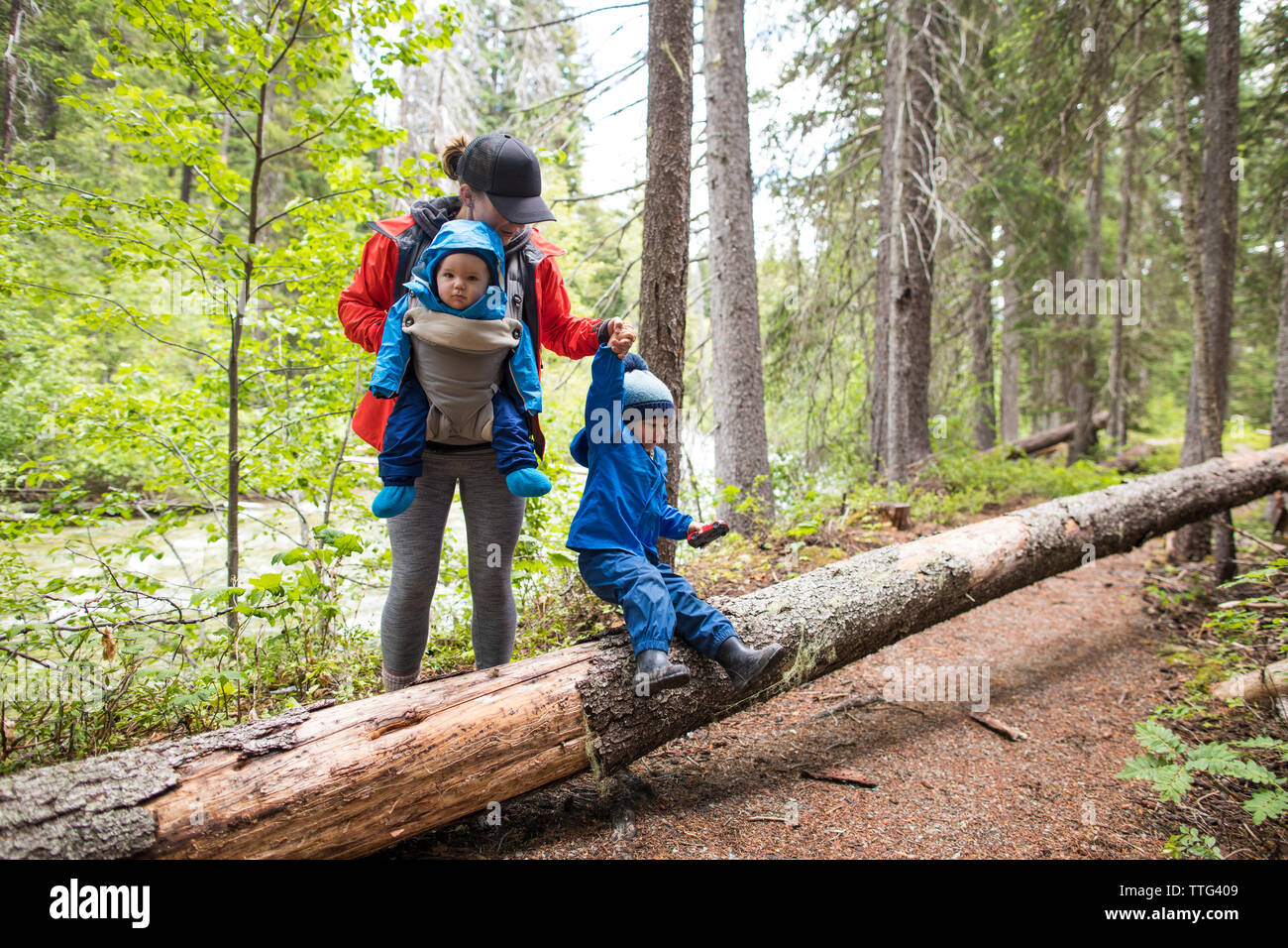 Madre passeggiate attraverso la foresta con i suoi due bambini. Foto Stock