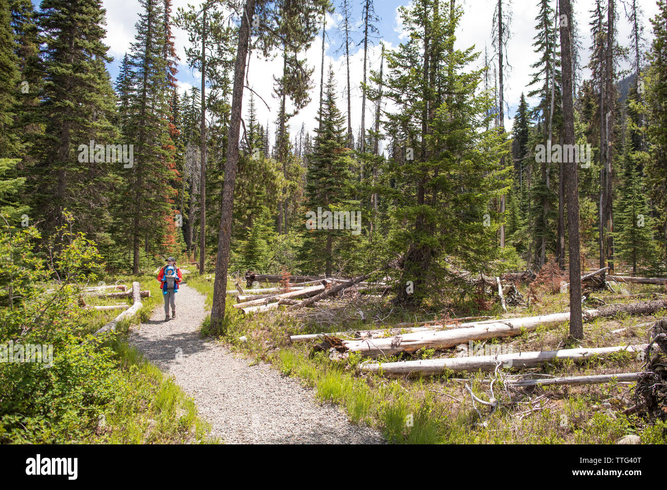 Madre escursionismo con il bambino nel bambino vettore. Foto Stock
