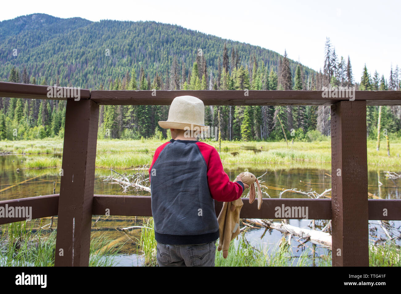 Ragazzo che guarda a zone umide naturali attraverso una ringhiera di legno. Foto Stock