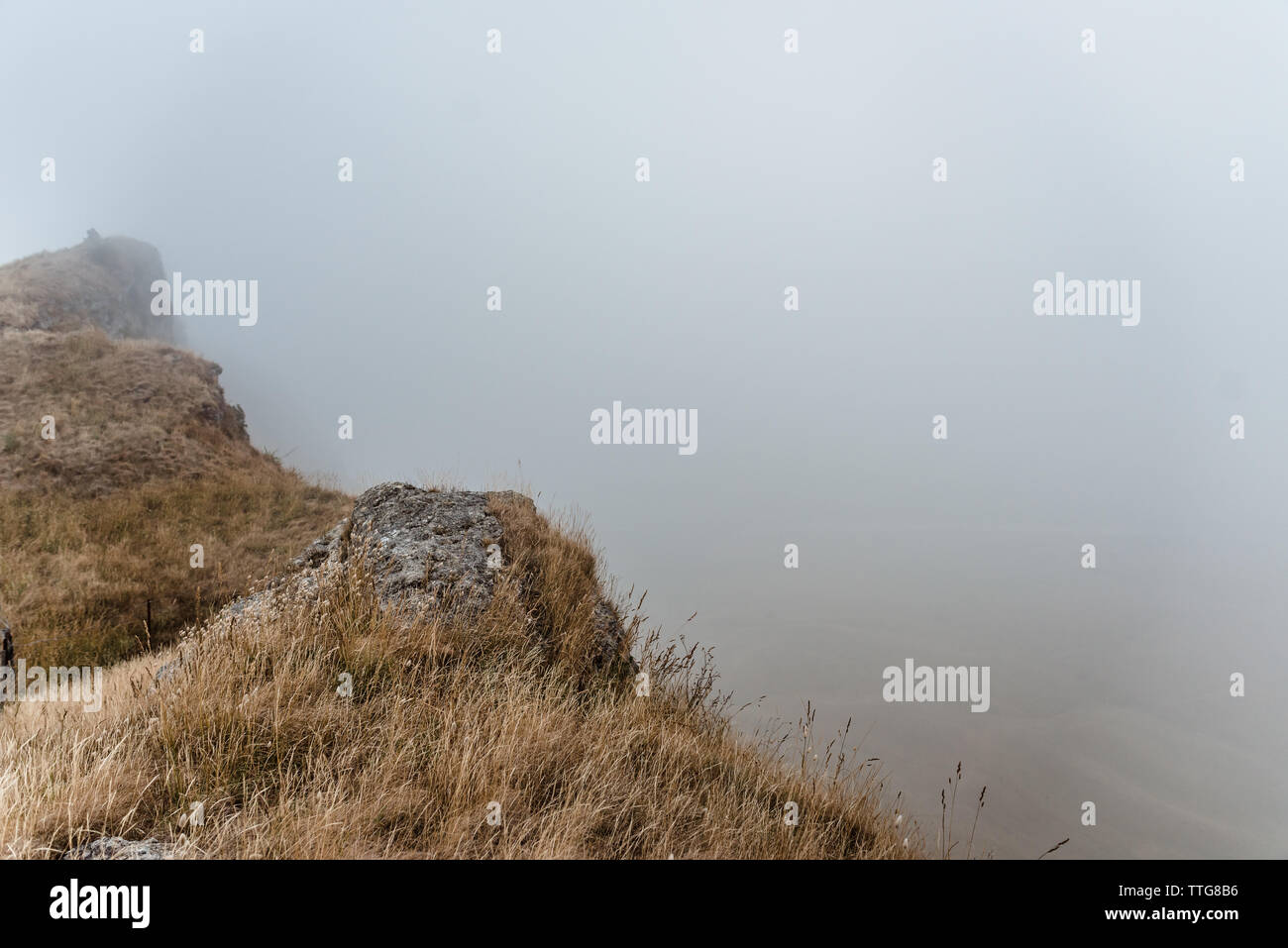 Panorama della scogliera rocciosa nella nebbia Foto Stock